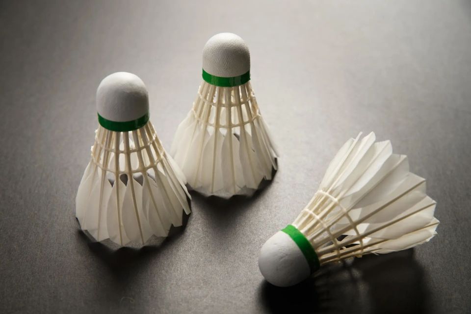 羽毛球原材